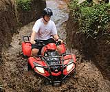 テガラランのライステラス