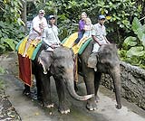 象の背中に乗れるエレファントライド