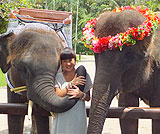 タロ村エレファントサファリ～象さんと一緒