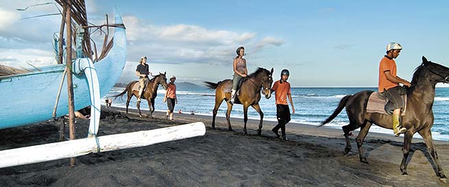 サバビーチで馬の背中に揺られながらのお散歩を２時間お楽しみ下さい