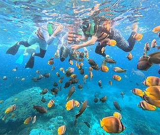 レンボンガン島・シュノーケリング