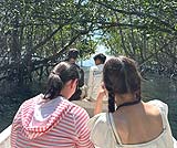 マングローブツアー