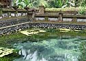 パワースポットツアーでご案内する「ティルタ・ウンプル」の聖なる泉