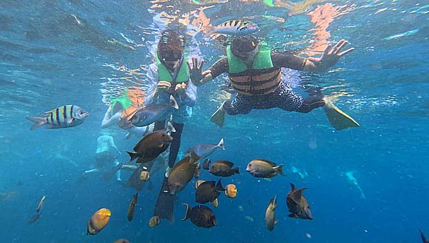 シュノーケリング