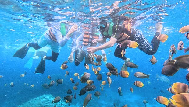 シュノーケリング